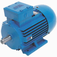 Supplier of Electric Motors for Water Pumps